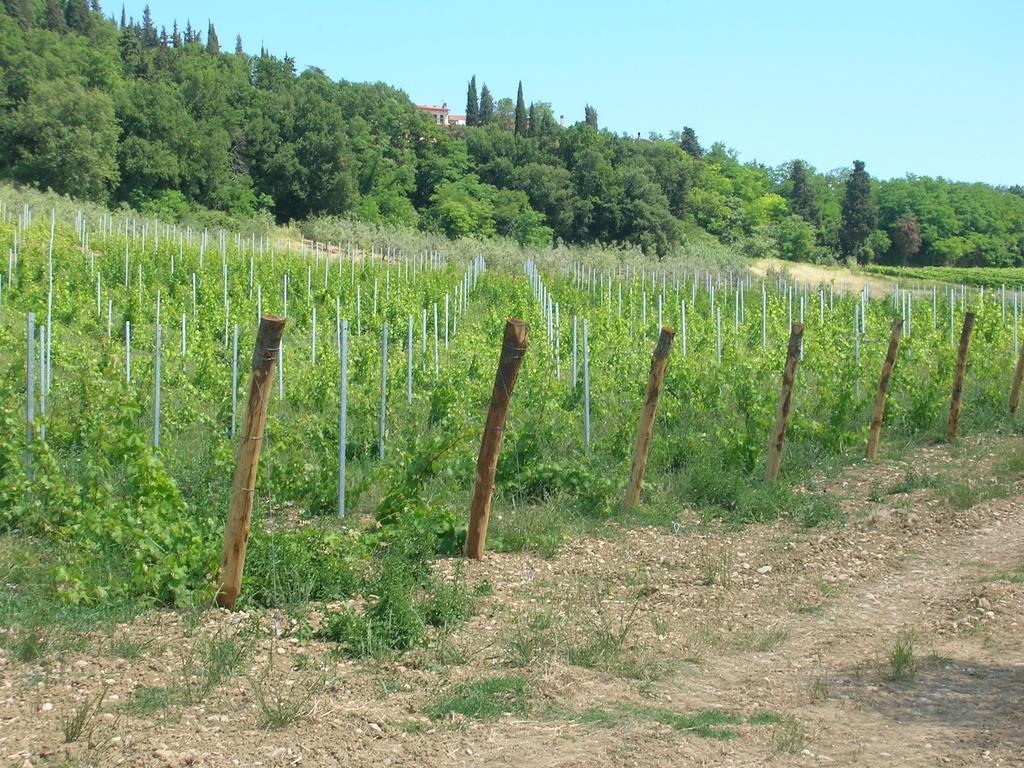 Podere Ghiole Montespertoli Bagian luar foto
