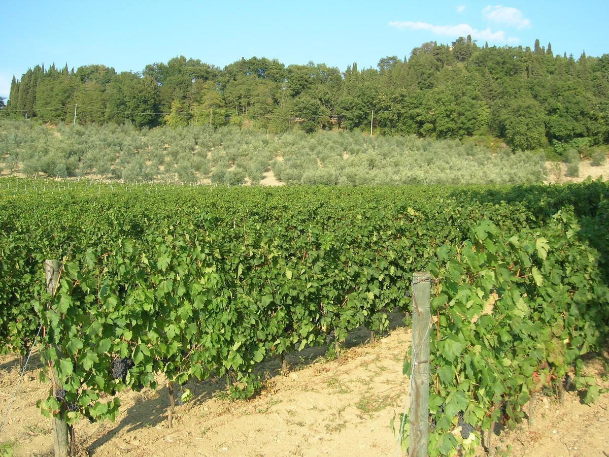 Podere Ghiole Montespertoli Bagian luar foto